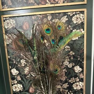 Real Peacock Large  Feathers Lot of 10 Feathers